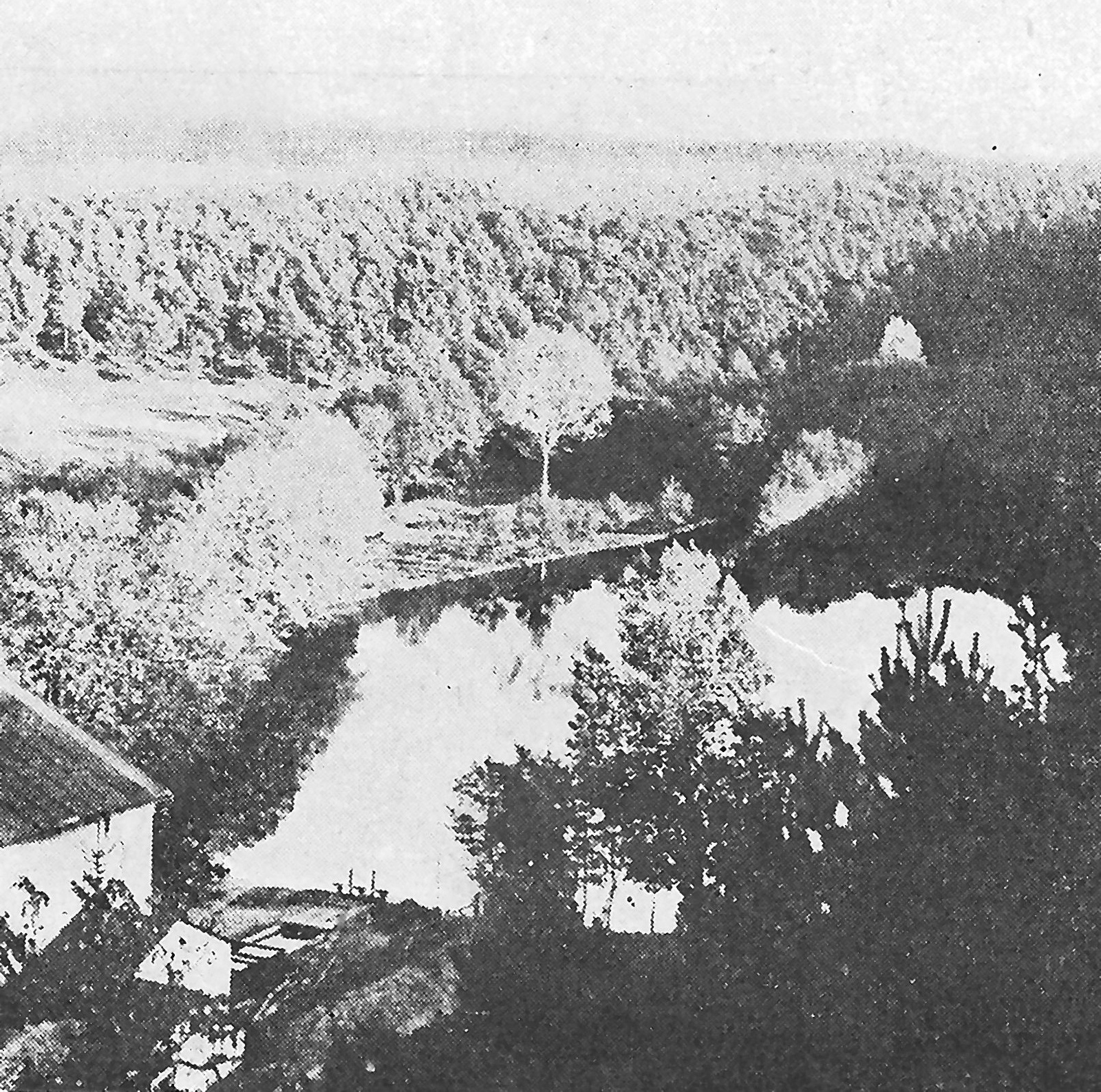 Rybník Nekoksova mlýna(20. léta minulého století)